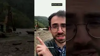 Illegal gold mining in Bolivia #shorts