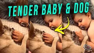 Baby and Dog Touching Hands as Baby Tenderly Touch Dog&rsquo;s Face