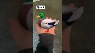 you&rsquo;ve now picked up a duck (credit)     @callduckofficial