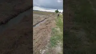 #drone #mistdrone