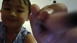 Mini hen