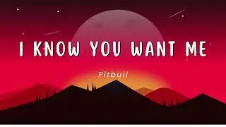 I Know You Want Me 1 Hour - Pitbull