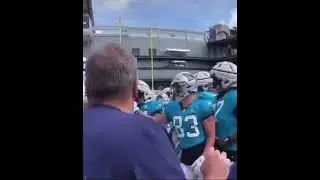 FAN PERSPECTIVE: Patriots Deatrich Wise pushed into stands by Carolina Panthers players