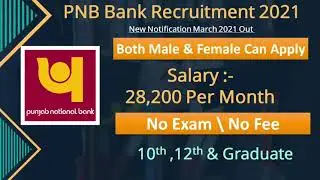 PNB Bank Recruitment 2021 | PNB Bharti 2021 | PNB Bank 2021 Bharti | Govt Jobs March 2021 | Harman