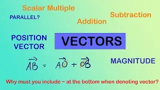 Vectors | Position Vectors | Magnitude | IGCSE Maths 0580