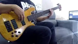 Fabio Fulini - How Many Times (Toto Bass Cover)