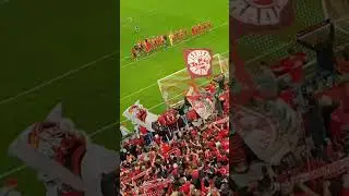 Europa❤️🤍 #effzeh #stadion #fu&szlig;ball #europapokal #fans #ultras #shorts #uefa