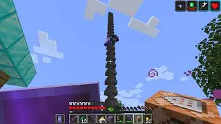 SKYBLOCK GOVERNMENT FORMED!!! | Minecraft skyblock 4