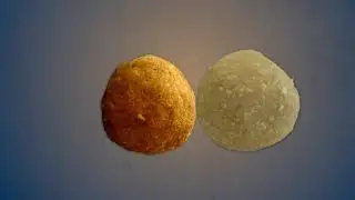 SHADI KA LADDU PRODUCED BY NABEEL