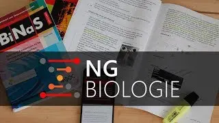 Examentips - hoe moet ik leren?