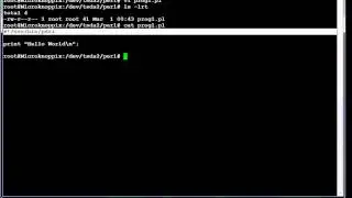 Best Perl Tutor : 3 - Sample Perl Programs