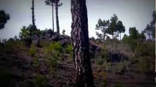 Trip VTT enduro &agrave; la Palma
