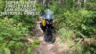 Yamaha Super Tenere riding in Single Track - Sam Houston National Forest
