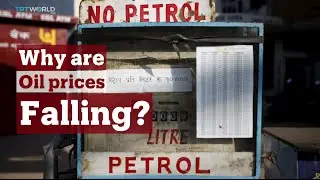 TRT World - World in Focus: Why are oil prices falling?