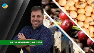 SP já tem boi negociado a R$335/@, café despenca mais de 4% nas bolsas e soja sobe com apoio do...