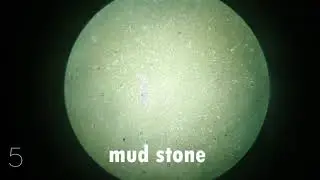 non clastic sedimentary rocks