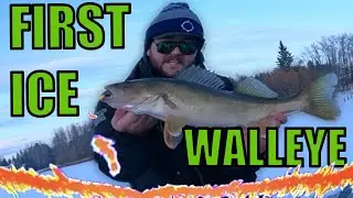Early Ice Fishing for Walleye | ICE SEASON IS HERE!!