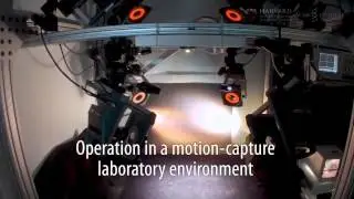 робот-пчела (robobee). Миниатюрный квадрокоптер