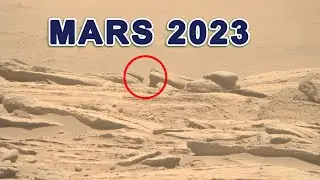 Mars Perseverance Rover Released Latest Images LIVE