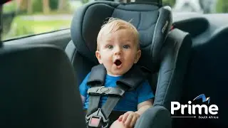 Car Insurance You Can Trust, Made Simple