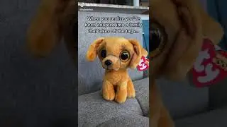 Beanie Boos - To Tag or Not to Tag