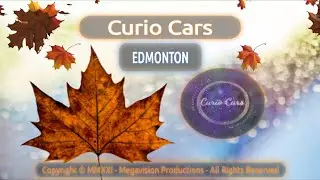 Curio Cars Edmonton