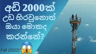  අඩි 2000ක් උඩ හිරවුනොත් ඔයා මොකද කරන්නේ? 😱 | Fall (2022) - Sinhala Review 