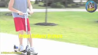 Go-Ped Know Ped Push Scooter
