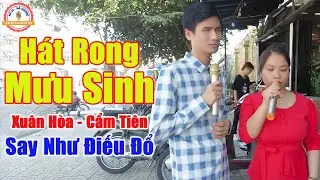 LK Hát Rong Mới Nhất 2025 | LK Xuân Hòa Mới Nhất 2025 - Song Ca Mưu Sinh Ai Nghe Cũng Khen Hay