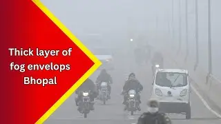 A thick layer of fog envelops Bhopal as cold wave grips Madhya Pradesh...