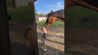 A bond like no other: Child and horse share sweet moment | Humankind #shorts #goodnews