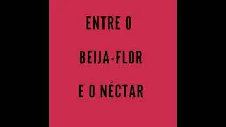 poesia apertada #videopoema