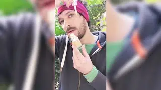 سيروم العرقسوس اللي اتطلب مني من زمان (قنبله تفتيح وشد البشرة في مده قصيرة جداً)