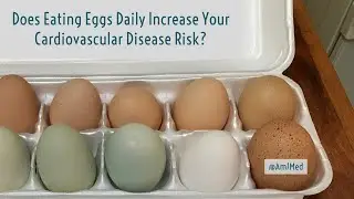 Egg Consumption & Risk of Cardiovascular Outcomes