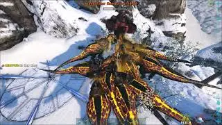 Megapithecus fight