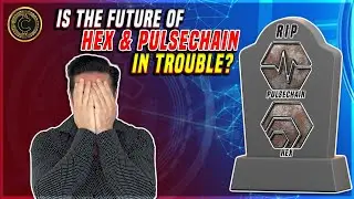 Может ли будущее Hex и Pulsechain оказаться под угрозой?