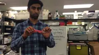VSVS- Chemical Energy Conversions