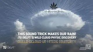 This Sound Trick Makes It Rain! TU Delft's Wild Cloud Physics Discovery