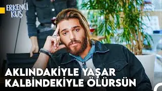 Sanem'in Aşkı Bulma Yolculuğu #120 - Erkenci Kuş