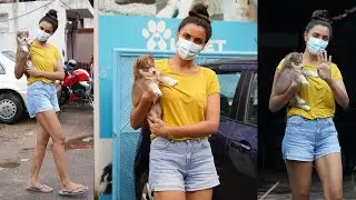 Nagarjuna Heroine Akshara Gowda Spotted At Pet Clinic | #AksharaGowda