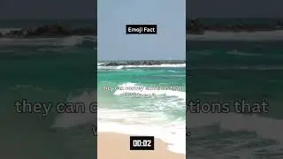 Mind-Blowing Facts You Didn't Know! 🤯