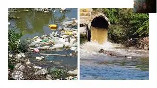 How water pollution harms the community and what we can do help