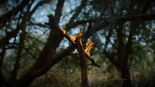 SCARWORN  - A Rift Between Us (Official Music Video)