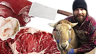 14 Years of a Raw Meat Diet with Derek Nance (Healing Gut, Organ Benefits) @SuperSabortooth