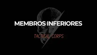 Sessão de treino para membros inferiores no programa de treinamento on-line 