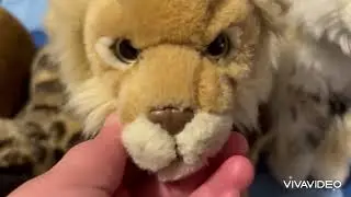 Short from my Signature Webkinz Collection Video