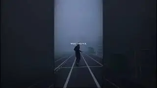 STAY HARD