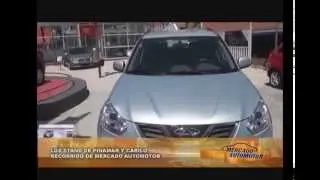 Mercado Automotor en Pinamar y Carilo 2014