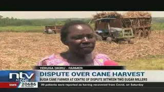 Confusion as tractors from different sugar millers meet to collect sugarcane at a Busia farm