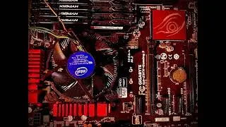 Raven Coal - Tech Death